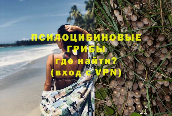 apvp Богданович