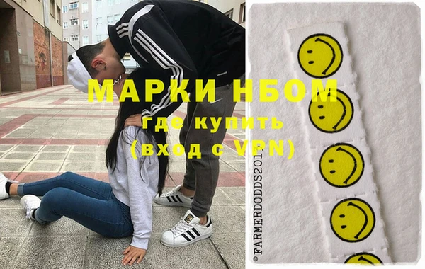 шишки Богородицк